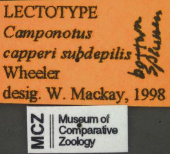 Media type: image; Entomology 21576   Aspect: labels 3